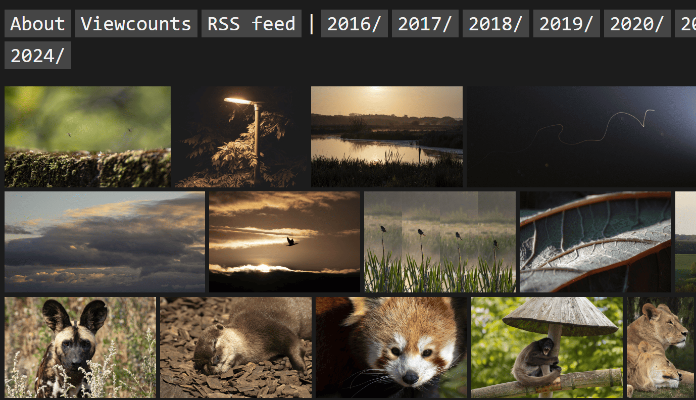 A screenshot of EGG's photo gallery with sample photos